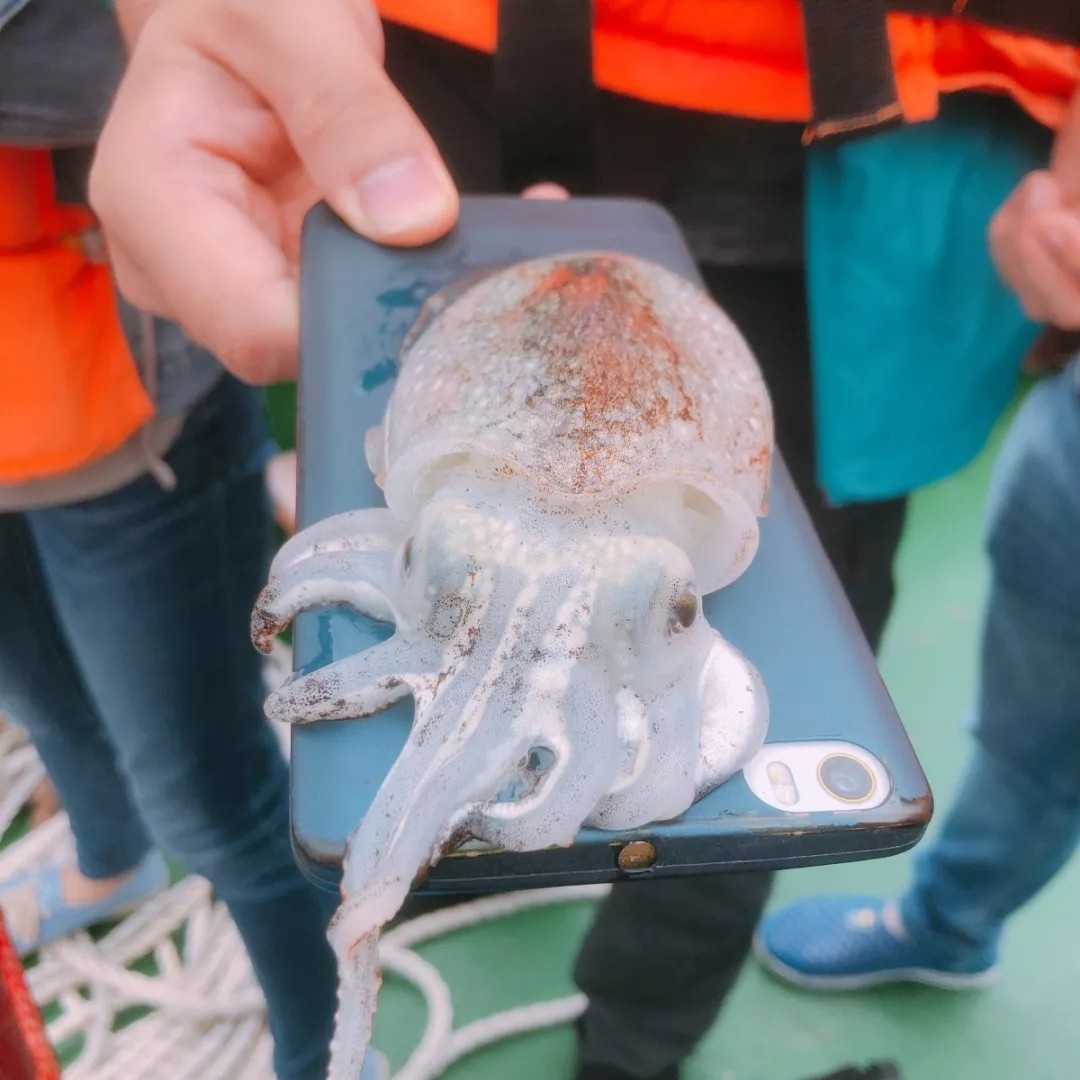 【碧海奇礁·金沙渔火】 一飞冲天300倍游戏2019年团建游记-一飞冲天300倍游戏