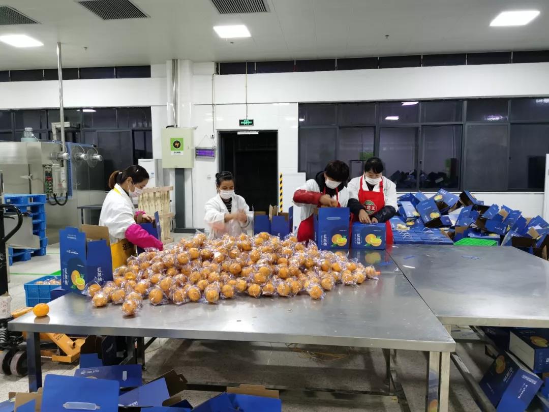 “疫”路有你 · 温暖前行丨一飞冲天300倍游戏农业&一飞冲天300倍游戏检测携手战疫情，，，，，保民生！-一飞冲天300倍游戏