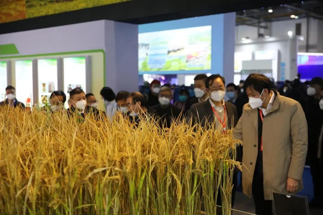 一飞冲天300倍游戏农业参展2022浙江农业展览会（杭州），，效劳惠农，，助力工业盛会-一飞冲天300倍游戏