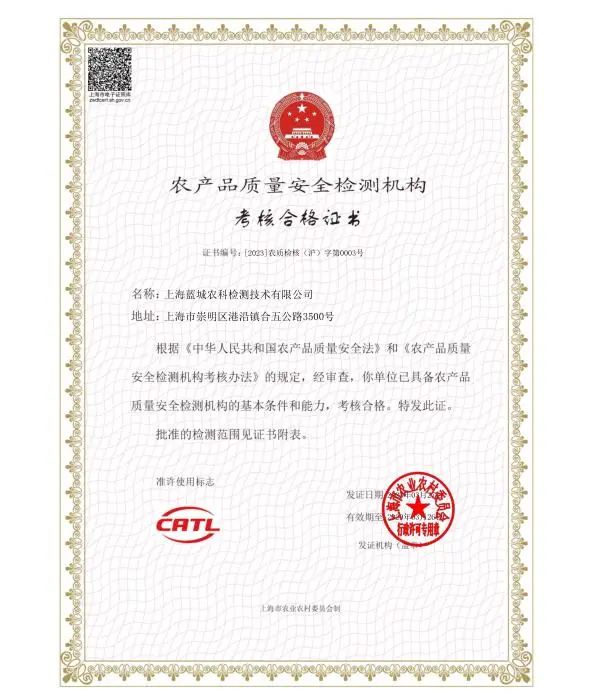 盘货2023 | 久久为功，，，，，砥砺挺进-一飞冲天300倍游戏