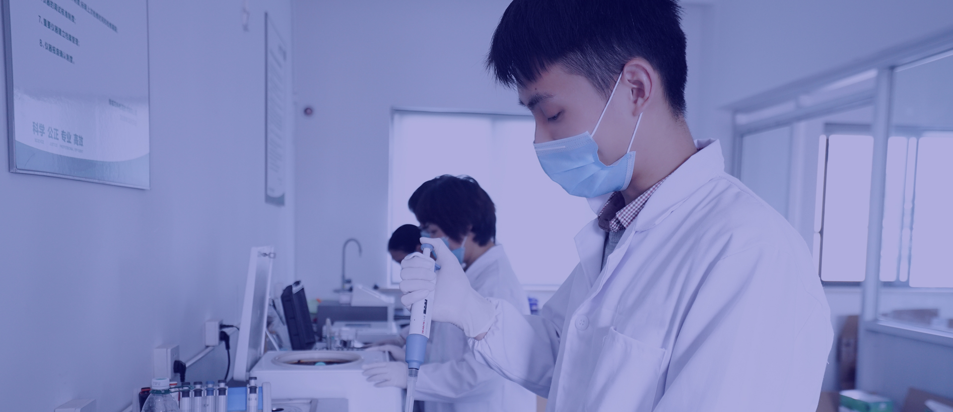 一飞冲天300倍游戏(中国游)·官方网站