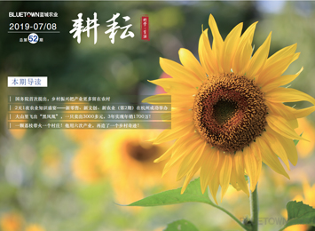 一飞冲天300倍游戏(中国游)·官方网站