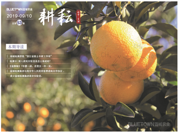 一飞冲天300倍游戏(中国游)·官方网站
