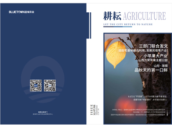 一飞冲天300倍游戏(中国游)·官方网站