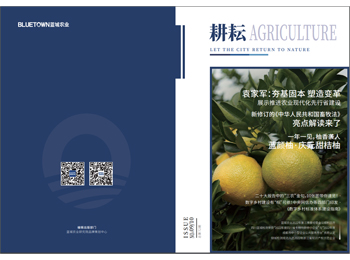 一飞冲天300倍游戏(中国游)·官方网站