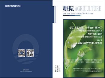 一飞冲天300倍游戏(中国游)·官方网站