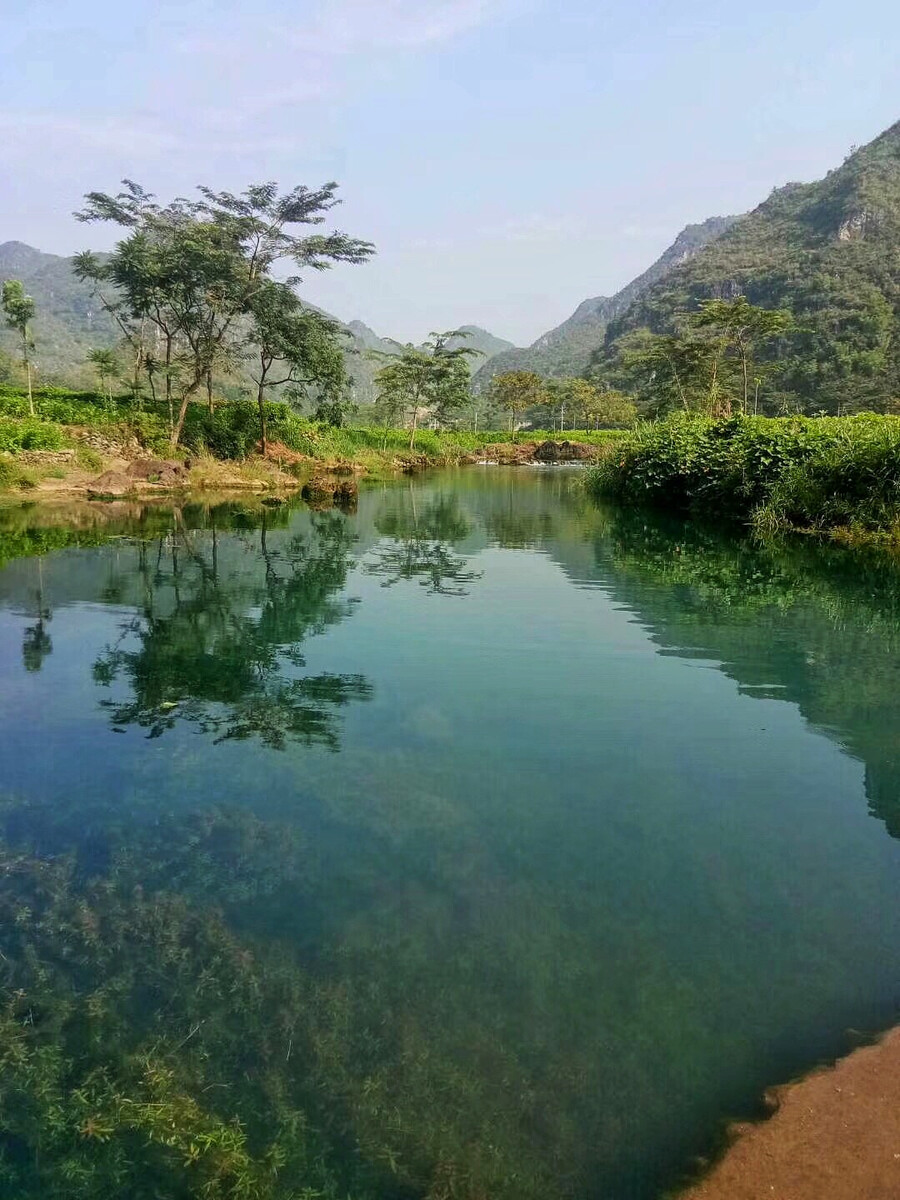 水质检测-山东一飞冲天300倍游戏剖析测试有限公司