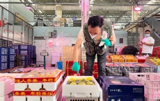 丽水一飞冲天300倍游戏农科检测手艺有限公司
